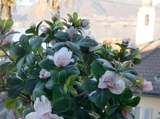 Ristorante Al Portico Hotell Gerra (Locarno)